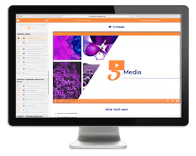 Foundations of Website Accessibility gallery image