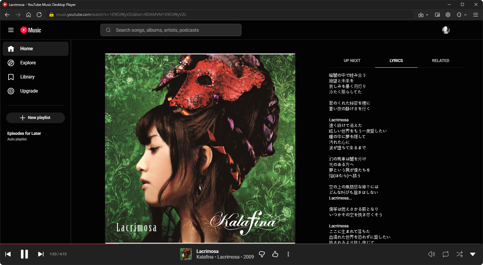YouTube Music Desktop Player gallery image