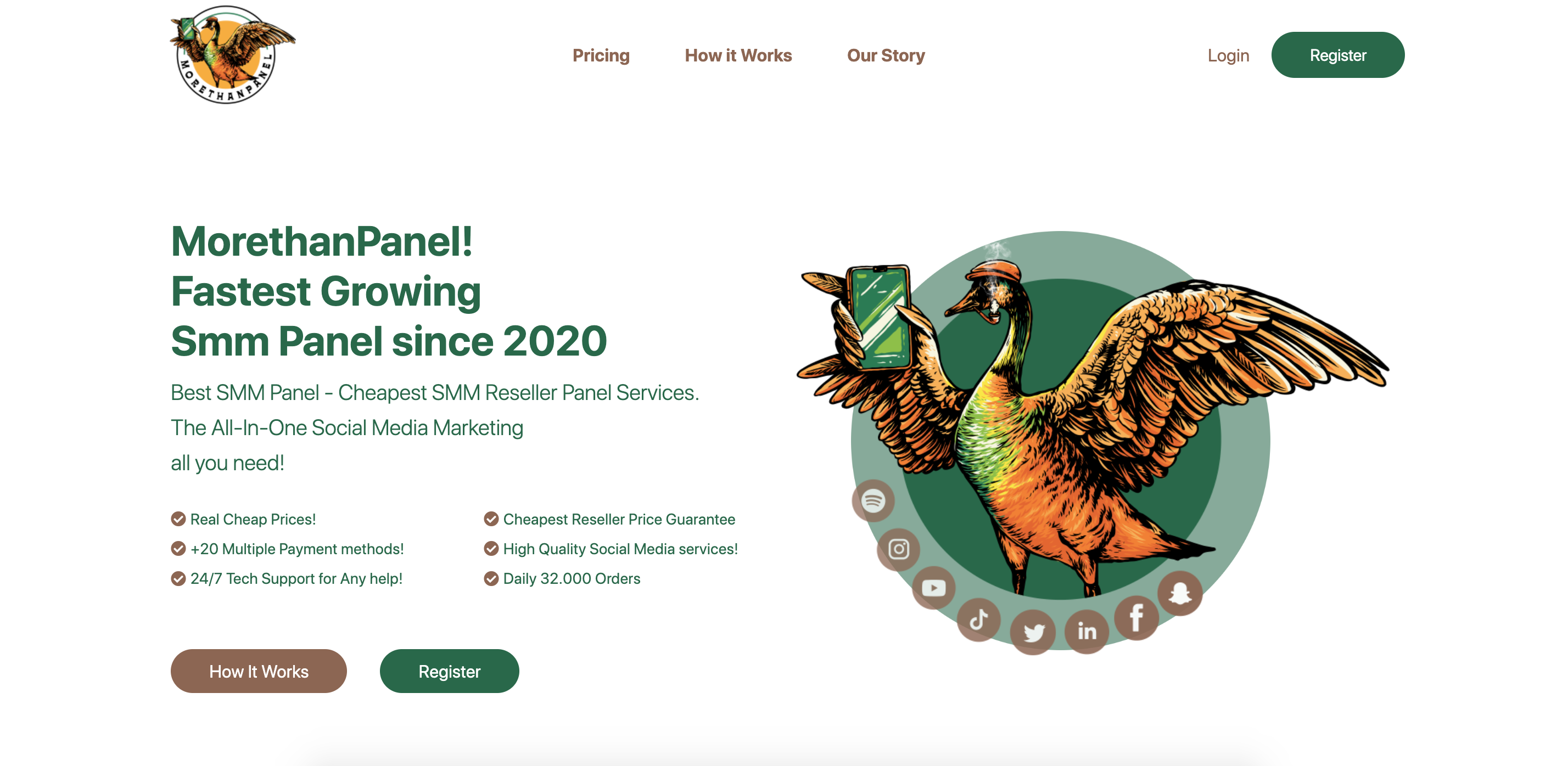 MoreThanPanel media 1