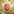 AI Fruit