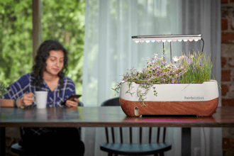 Herbstation by Altifarm gallery image