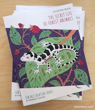 The Secret Life of Forest Animals gallery image