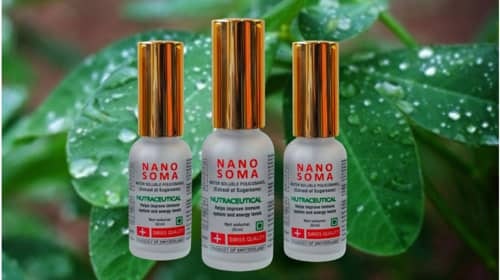 NANO SOMA NUTRITIONAL LIQUID SUPPLEMENT