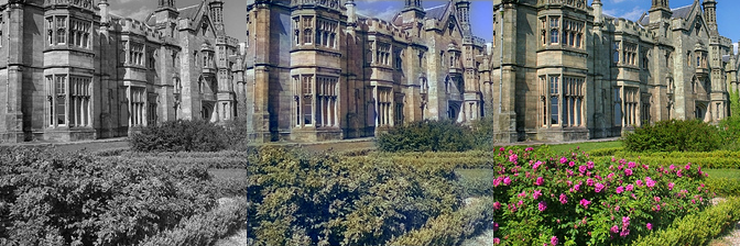 Colornet gallery image