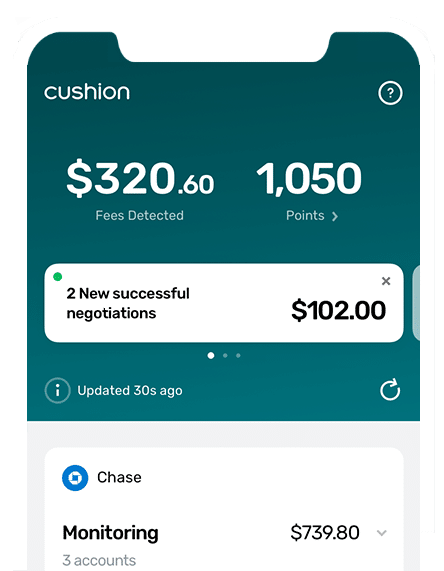 Cushion gallery image