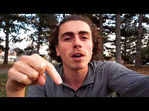 Airmule gallery image