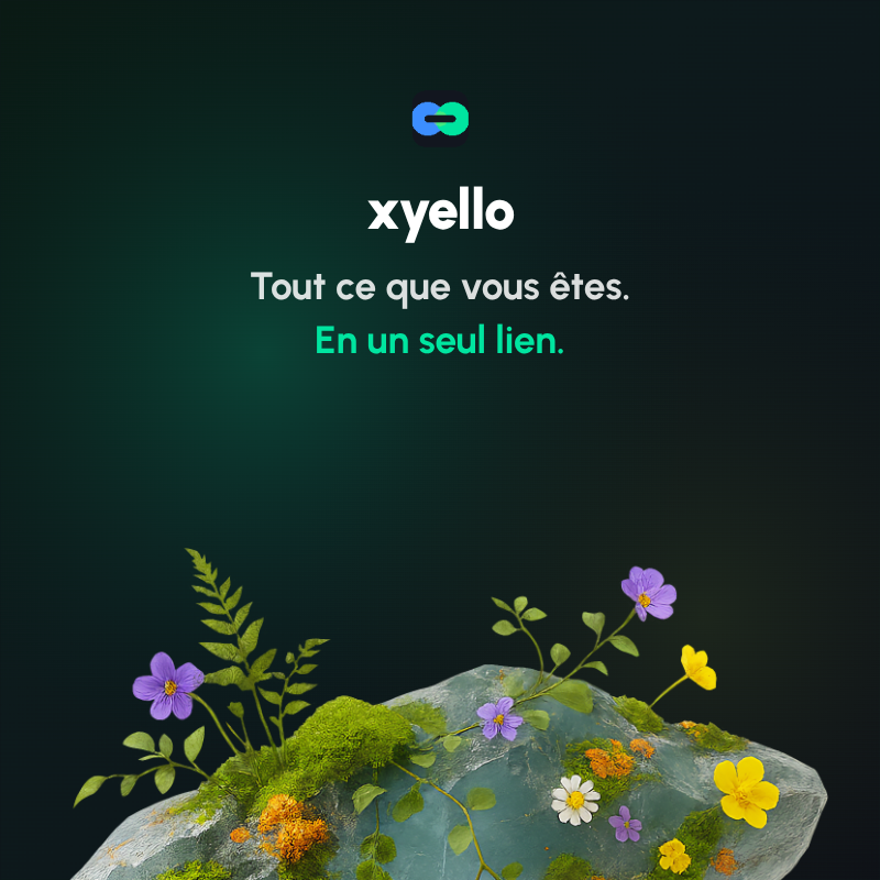 xyello gallery image