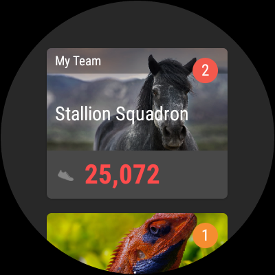 Spire FIT gallery image