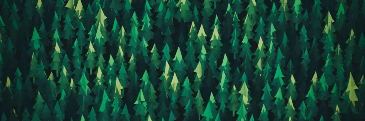 Noemi Stauffer cover