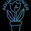 AquaFlower