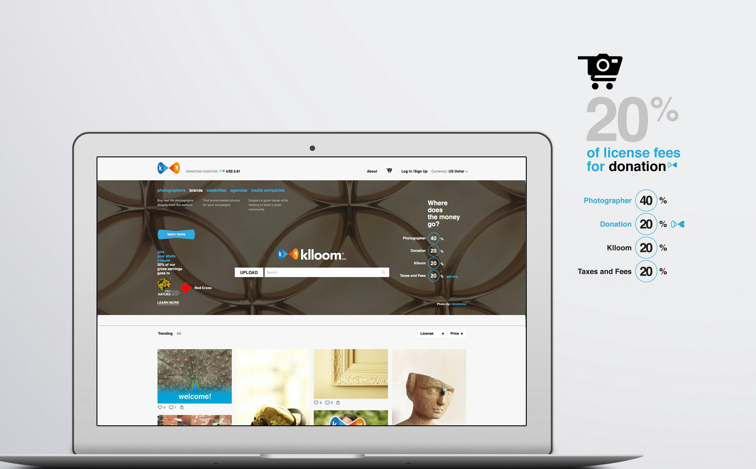 Klloom gallery image