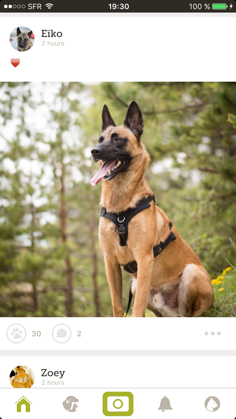 Yummypets gallery image