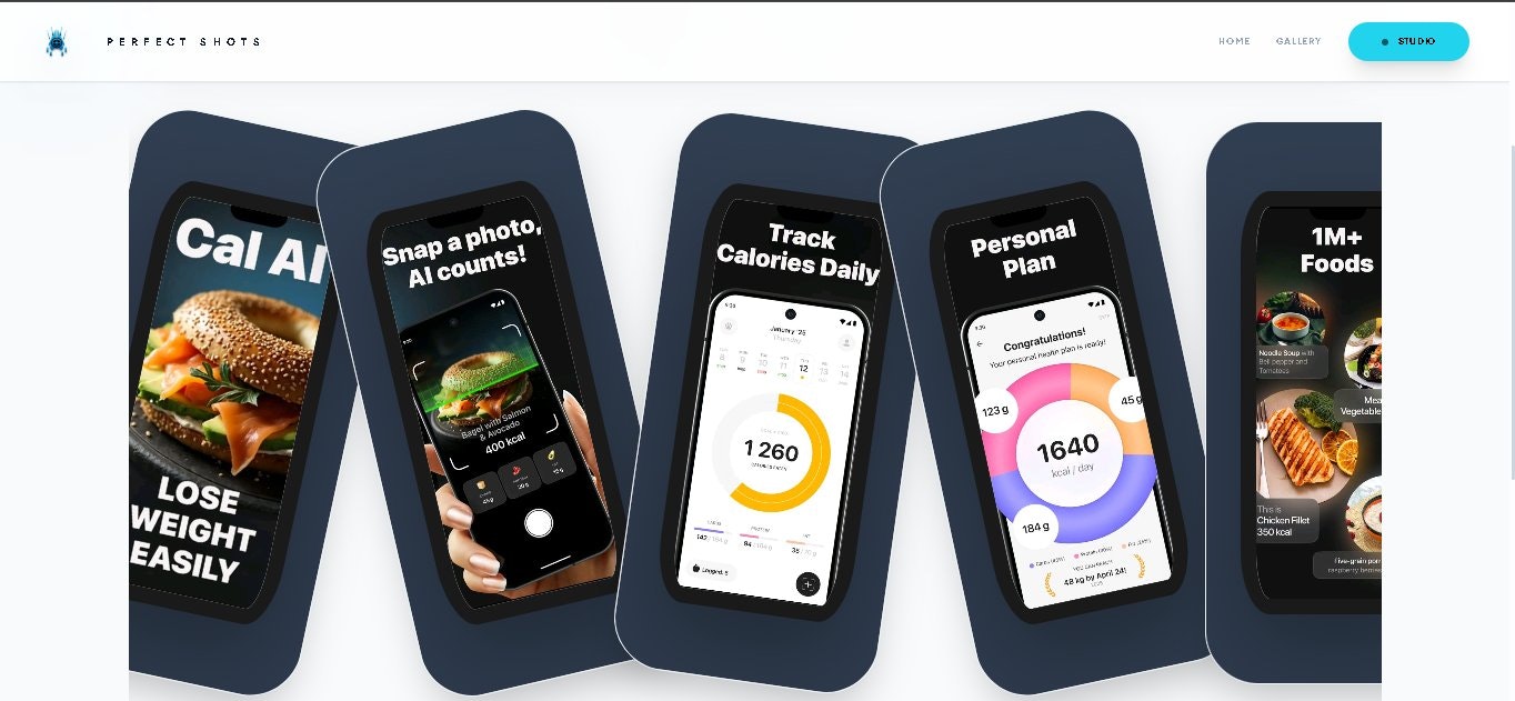 Perfect Shots gallery image