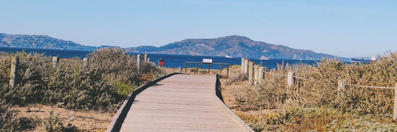 Marcella Chamorro cover