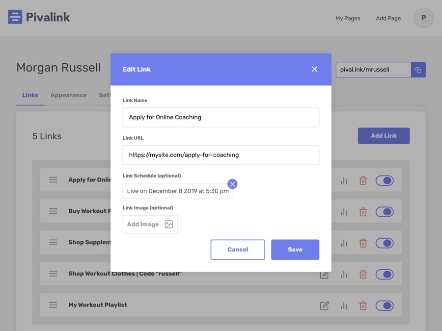 Pivalink gallery image
