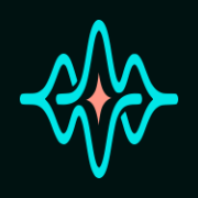 VoiceFlow