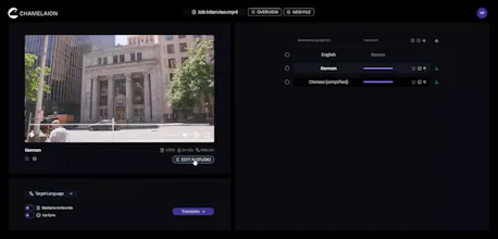 AI Video/Audio Translation Platform gallery image