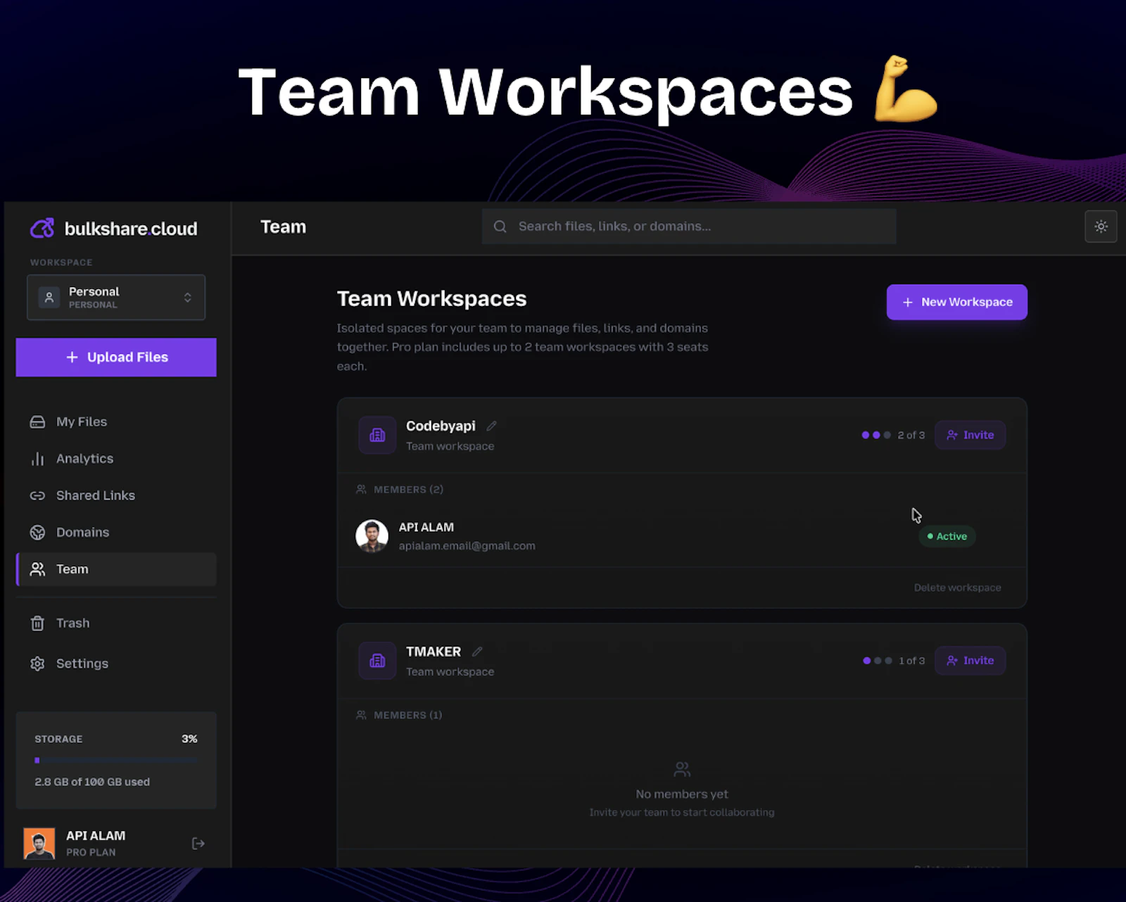 bulkshare.cloud screenshot 4