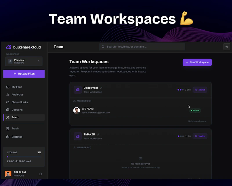 bulkshare.cloud screenshot 4