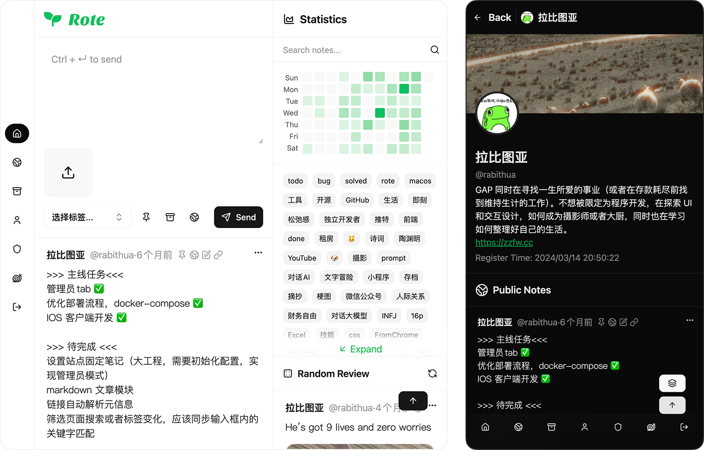 Rote - Main product screenshot demonstrating key features and user interface