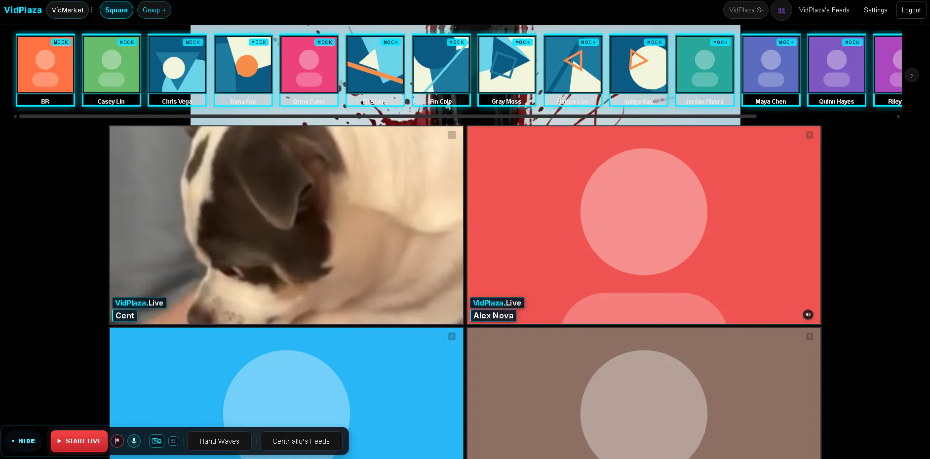 VidPlaza— live video groups  gallery image