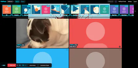 VidPlaza— live video groups gallery image