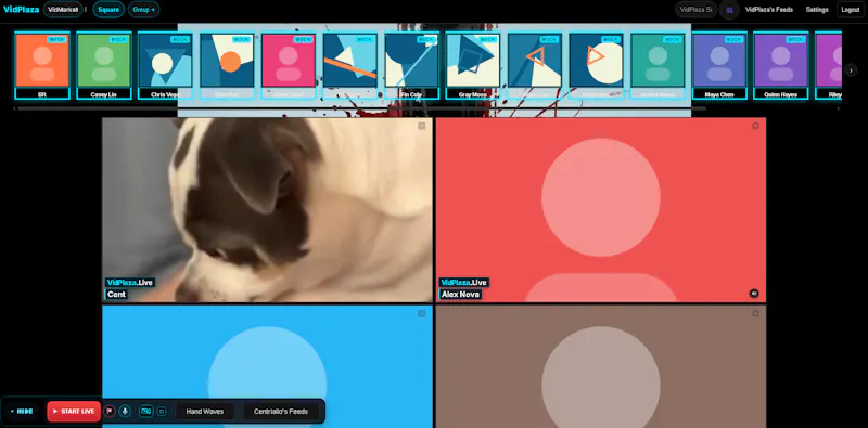 VidPlaza— live video groups  screenshot 3