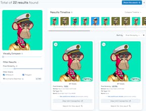 Fight NFT Fraud gallery image