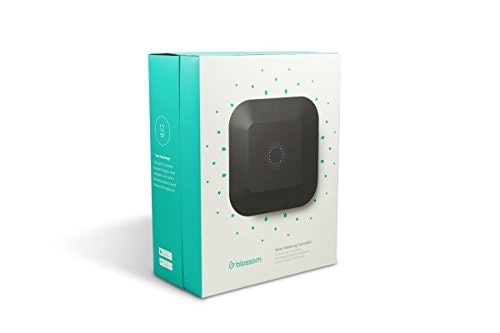 Blossom gallery image