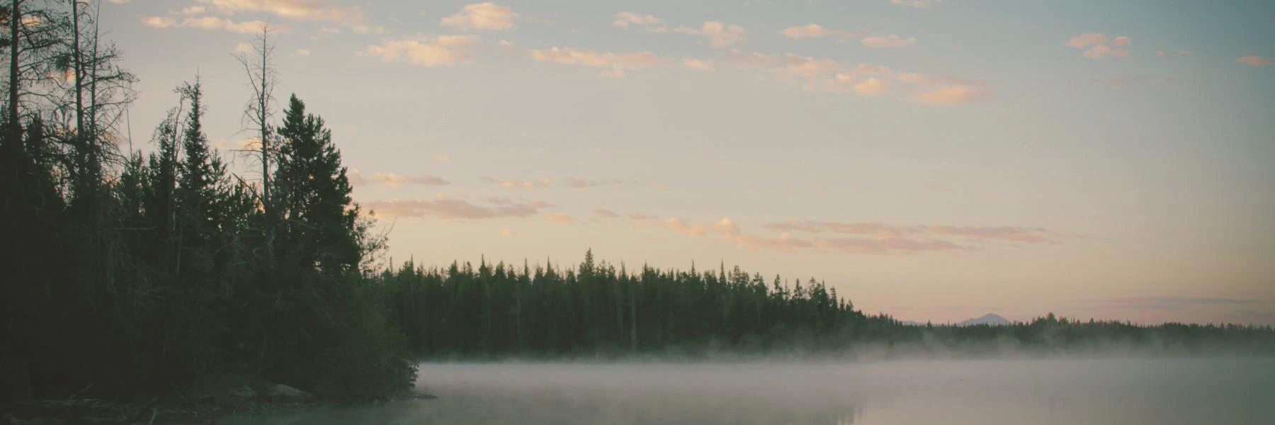 Pavel Volgarev cover