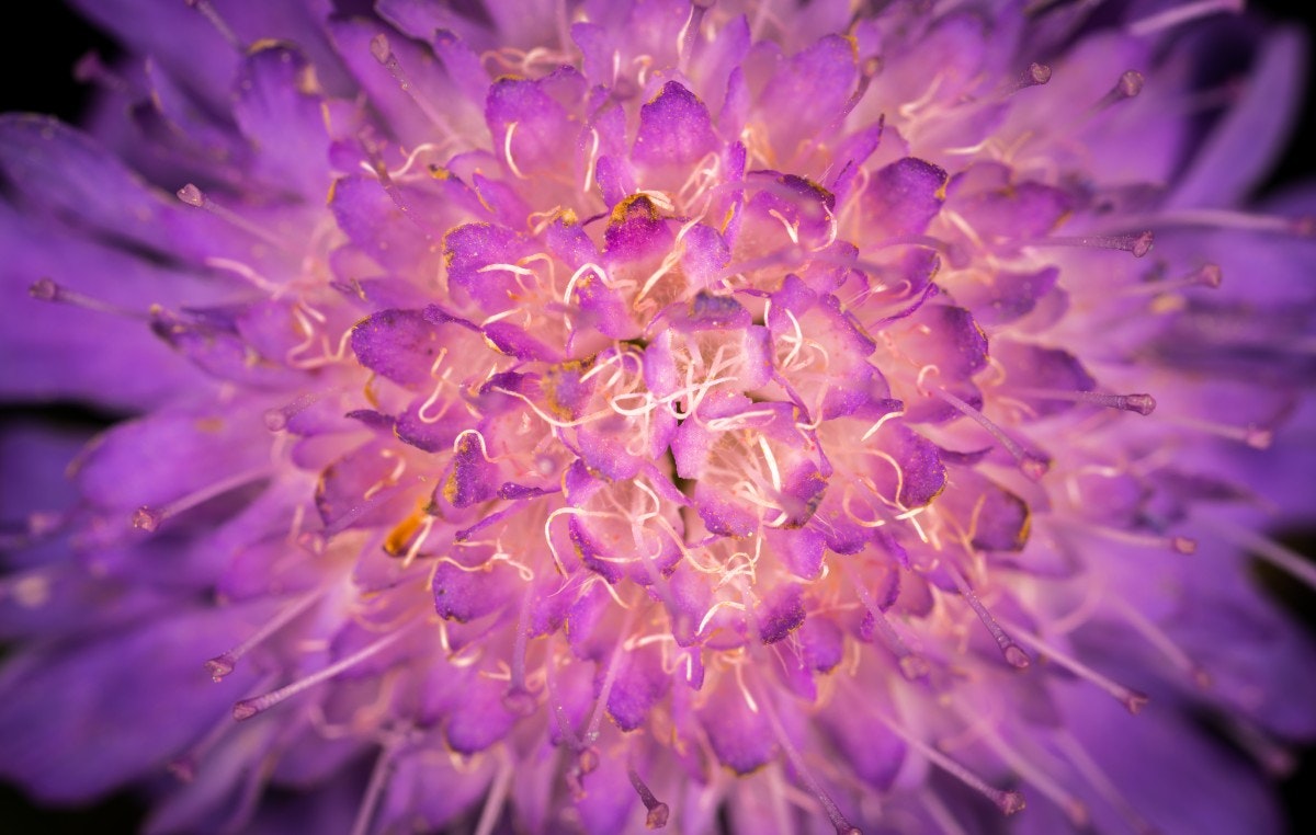 Free Images & Free stock photos gallery image