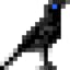 Crow
