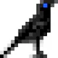 Crow