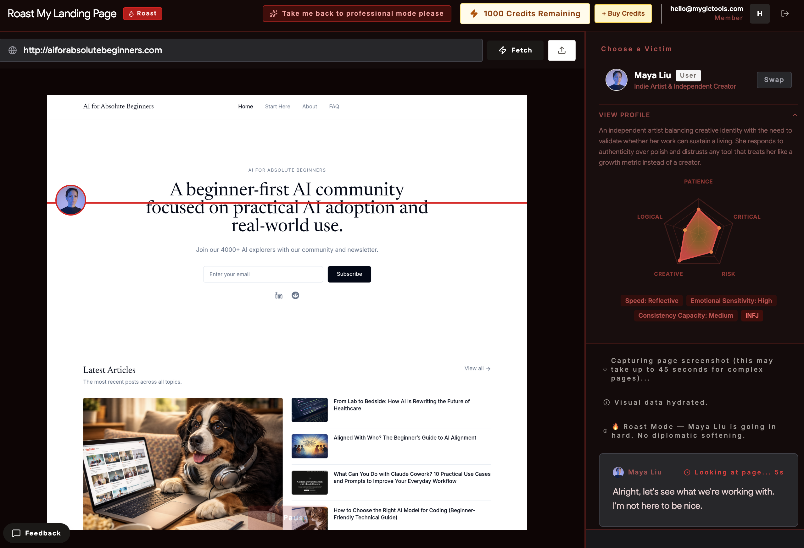 Roast My Landing Page AI gallery image