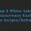 Top 5 White-Label Cryptocurrency Exchange Clone Scripts