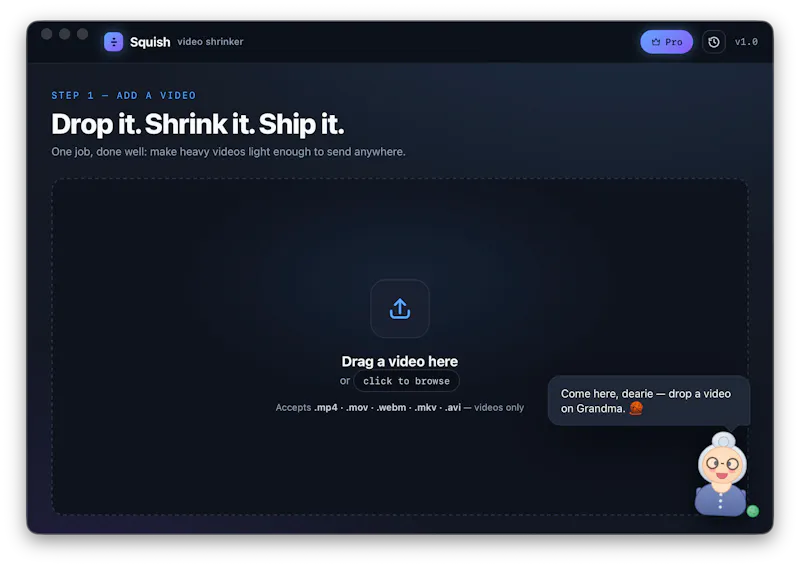 Squish screenshot 2