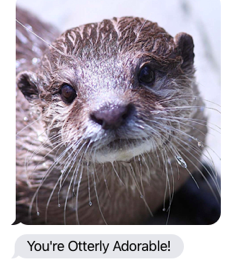 Send Otter Love gallery image