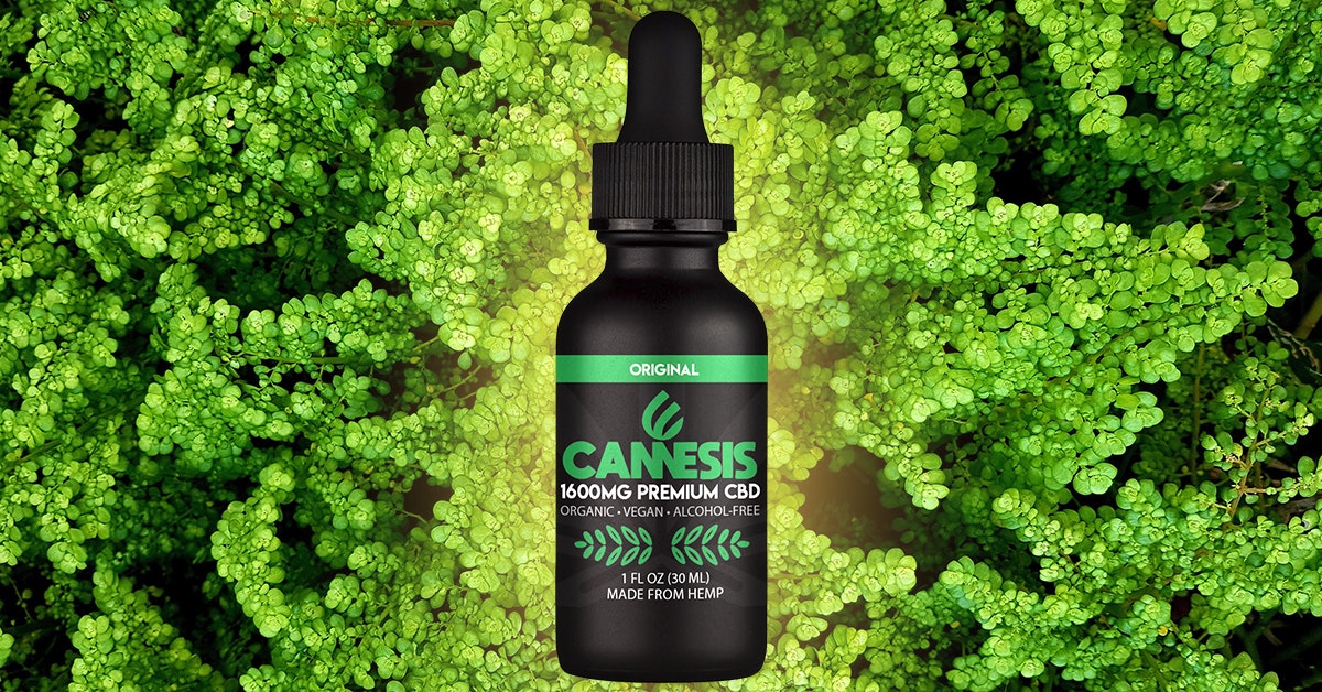 Cannesis gallery image