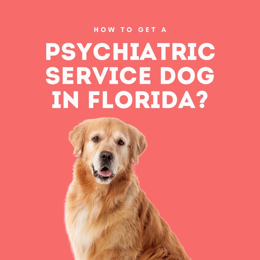 Psychiatric Service Dog Letter Florida media 1