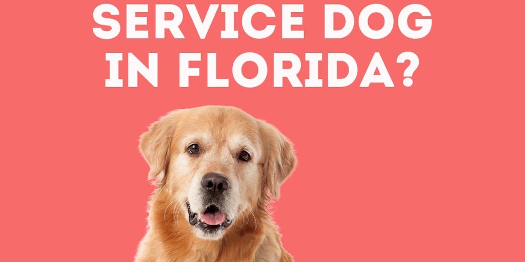 Psychiatric Service Dog Letter Florida Product Information Latest psychiatric-service-dog-letter-florida-product-information-latest