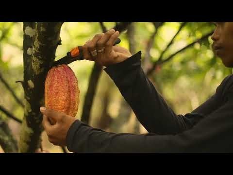 CROWDFARMING gallery image