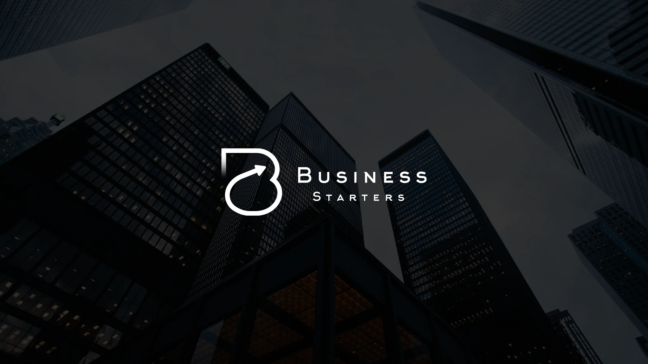 Business Starters cover