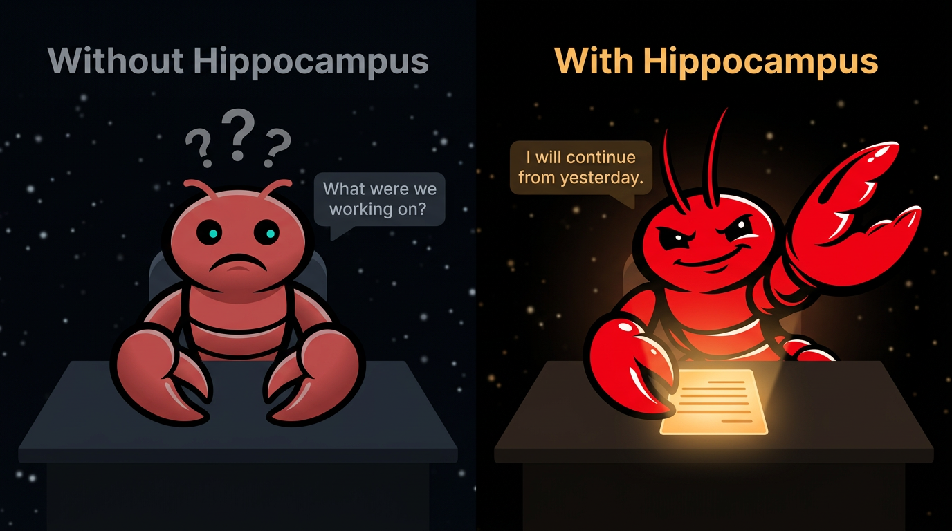 Hippocampus media 4