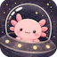 Gravity