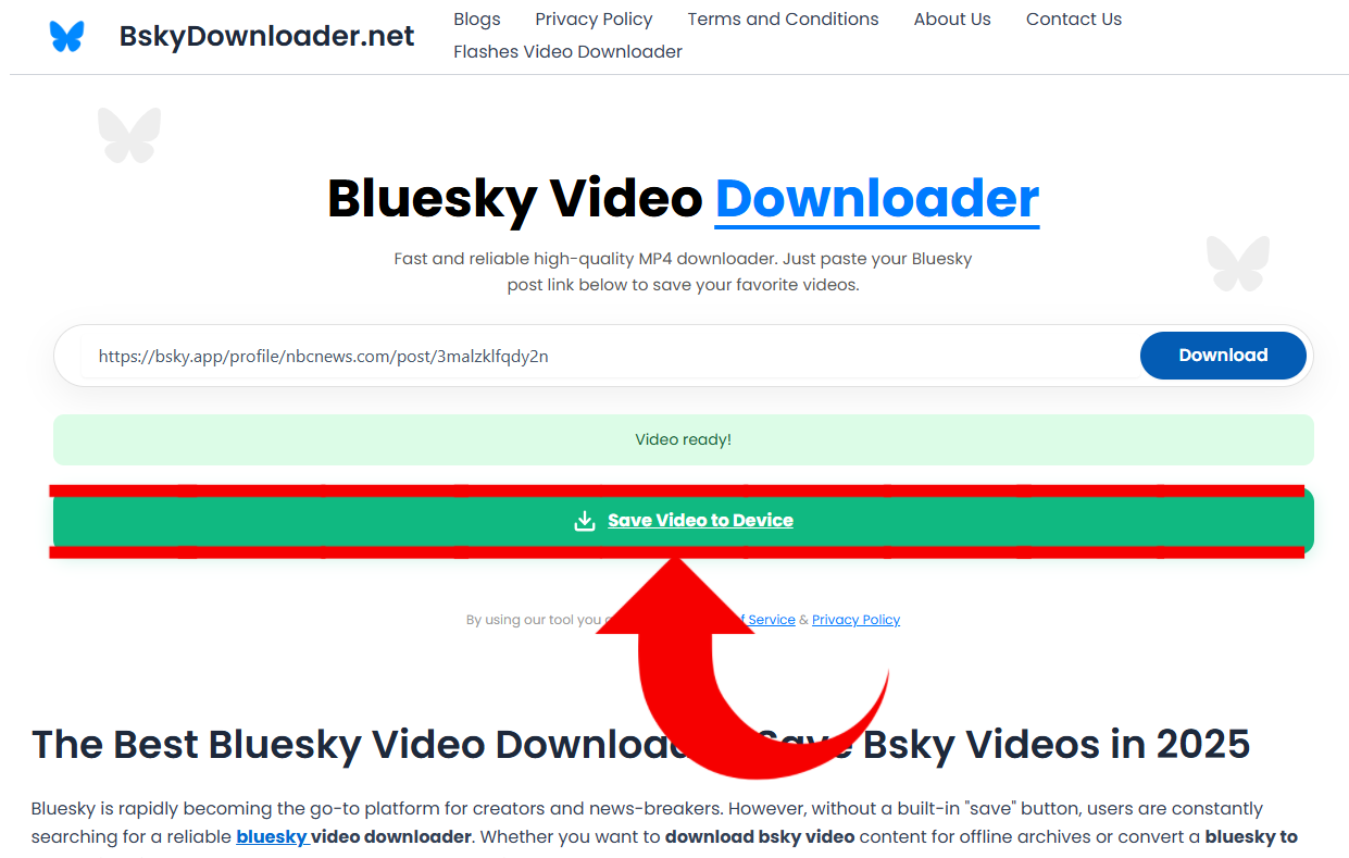 Bsky Video Downloader - Screenshot 3 showing product features and functionality