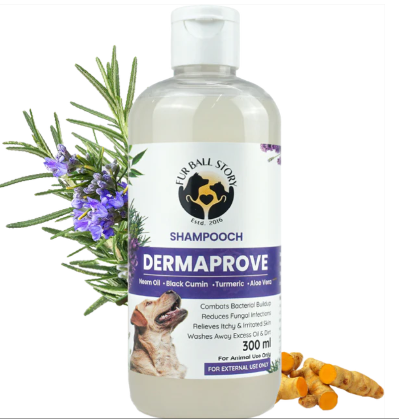 Dermaprove Antifungal Shampoo For Dogs