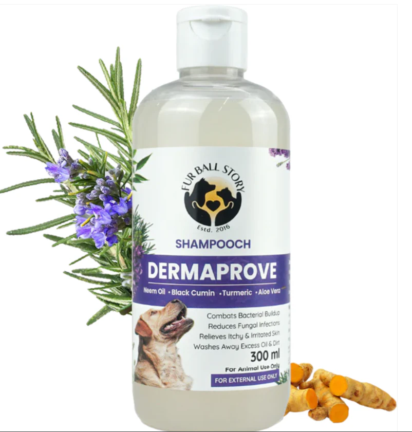 Dermaprove Antifungal Shampoo For Dogs