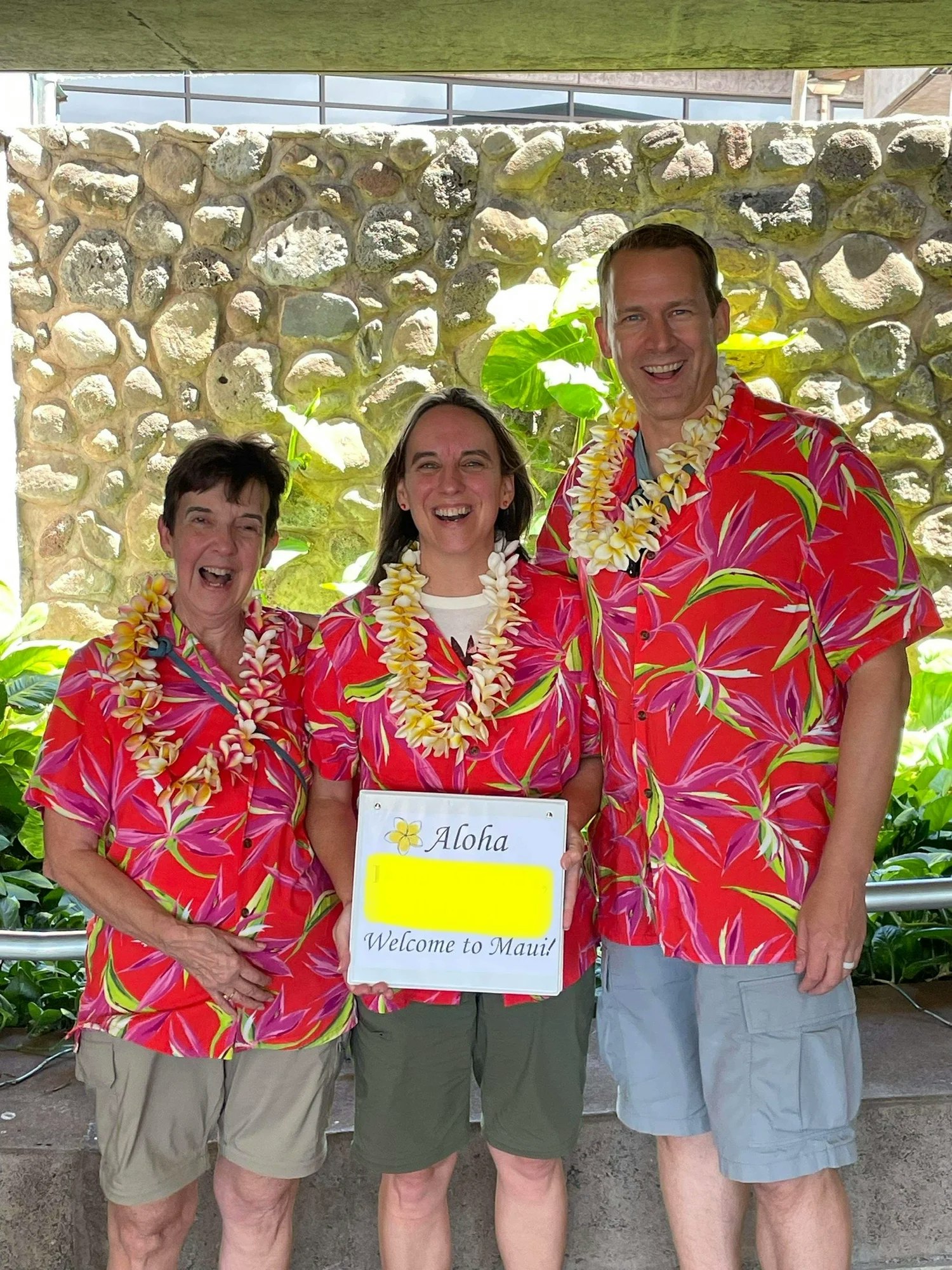 Plumeria Lei Greeting - Main product screenshot demonstrating key features and user interface