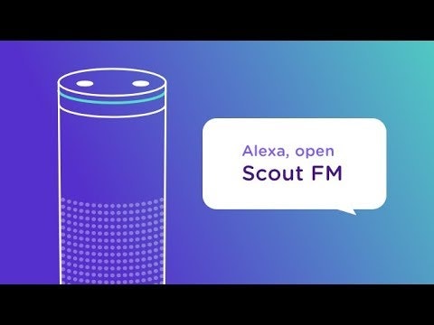 Scout FM gallery image