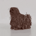Soshee - Robot Social Media Reaction Dog